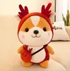 Cute squirrel doll transformed into dinosaur plush toy birthday children's day like gift