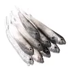Esche esce sport all'aperto 20pcs 2dot5g 4g pesce bionico sile esca morbide esche esche artificiali pesca pesca attrezzatura accessori