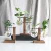 Hydroponic plant vazen ​​glazen planter bol terrarium met retro houten frame stand voor thuis tuin kantoor bruiloft decoratie hydrocultuur tafelblad planten