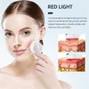 LED Photon Therapy Massaggiatore facciale Hot Cool Impacco Face Lifting Antirughe Ricaricabile Strumento per la cura della pelle di bellezza