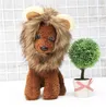 Chats Lion avec crinière chat Costume faux cheveux perruque casquette chien Costumes petits chiens noël fond décoration pour Halloween