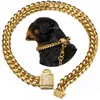 chain link dog collars