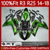 Wtryskiwacze Zestaw do Yamaha Metallic Green YZFR3 YZF-R25 YZFR25 2014-2018 102NO.11 YZF R3 R2 R25 YZF-R3 2014 2015 2016 2017 2018 Bodyork YZF R 3 25 14 15 16 17 18 OEM Ciało