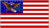 Ny grossistfabrik Pris 100% Polyester 3x5FT 90 * 150cm American Eagle Flagga för dekoration EWD5736