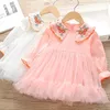 Baby meisjes borduurwerk mesh prinses jurk 2020 nieuwe lange mouw jurk herfst peuter kinderen beste verjaardagscadeau voor meisje 2-6 jaar Q0716