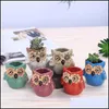 Potten Levert Patio, Gazon Tuin Huis Gardenflower Eyes Animal Owl Vlees Flowerpot European Decoration Planters Creatieve Ornamenten Persoon