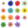 360pcs Pressed Press Dried Daisy Dry Flower Plants For Epoxy Resin Pendant Necklace Jewelry Making Craft DIY Accessories 210624