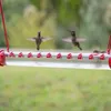 Складная кормление сада Chummingbird с подвесными аксессуарами Pet Bird Bird Heater