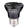 Weit-Infrarot-Haustierheizlampe Khan-Dampfkeramik-Wachsen-Lichter