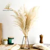 Pampas Grass Decor White Color Natural Dried Flowers Fluffy Bleached Bouquet Boho Vintage Style for Wedding Home Christmas Decor 210925