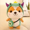 Cute squirrel doll transformed into dinosaur plush toy birthday children's day like gift