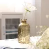 Creative Simple Glass Vase for Flowers Castvase Vase Desktop Home Decoration Accessories Flower Decoration 210409