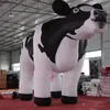 8/10/13/16 pés ou vacas leiteiras holandesas infláveis gigantes personalizadas para publicidade fabricadas na china