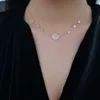 Liefde trendy 925 zilveren Turkse sieraden hart zirkoon mode ketting voor vrouwen herten luxe buckhorn ontwerper Valentijnsdag