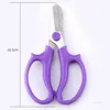 Pruning pliers Stainless steel scissors straight head color garden flower shop flower pruning scissors flower T2I52112