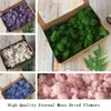 200g High Quality Eternal Moss Artificial Green Plant Dried Flowers DIY Gift Box Handicrafts Accessorie Decor Wall Stickers Decorative & Wre
