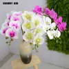 Dekoracyjne kwiaty wieńce Hi-Q Real Touch 9 Heads Sztuczne motyl Orchidee Hurtownie Duży Felk Latex Wedding Phalaenopsis 6 sztuk / partia