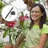 Ställ gröna växtstöd stakes phalaenopsis pinne med clips planters krukor