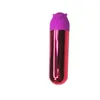 NXY Adult Toys Drahtlose Mini-Ladekugel mit Ei-Springen-Vibrator, weibliche Masturbation, Sexspielzeug für Erwachsene 0301