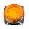 Polvere di fosforo glitter per unghie 8 colori polvere pigmento luminoso glitter fluorescente bagliore nel buio Prud22