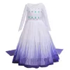 Kızın Elbiseleri Kız Çocuklar Için Prenses Elbise Cadılar Bayramı Karnaval Parti Cosplay Kostüm Çocuk Fantezi Noel Kılık