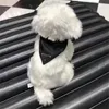 Casual Solid Color Cane Apparel Lettera modello Bib Designer Triangle Shous Sciarf Personality Dog Decoration Dogs