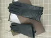 Luxus -Designerhandschuhe Herren- und Frauenlederhandschuhe Frauen Schaffell Touchscreen Winter verdickte warme Marke 257a
