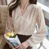 Plus Size Embroidered Lace Mesh Blouse Spring Korean V-Neck Elegant Women Tops Long Sleeve Floral Buttons Lace Shirt 13967 210527