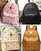 Designer Backpack Mountaineering Bag School Backpack Men Women Hoge kwaliteit Handtassen Purse lederen handtas Schoudertas Grote rugzakken