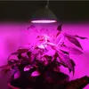 Lumiparty 400Led Plant Grow Light Doublehead Clip med rödblå lampa inomhus Greenhous Hydroponic Vegetable Cultivation 40W Ligh8243820