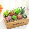 succulente nepplanten