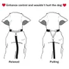 Nylon-Trainingshalsband für Hunde mit Kette und Anti-Biss-Verstärkung, verstellbares Halsband für mittelgroße und große Hunde