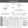 Guinzaglio per collare per cani personalizzato Set Collari per animali personalizzati di alta qualità con papillon Collari per cani regolabili Guinzaglio Incisione gratuita 211006