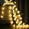 Strings 10/20 LED LED FAILY Crack Star String Lights 1.5m 3m Garland Christmas Lantern Outdoor Indoor Garden Wedding Decoration
