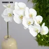 Dekoracyjne kwiaty wieńce Hi-Q Real Touch 9 Heads Sztuczne motyl Orchidee Hurtownie Duży Felk Latex Wedding Phalaenopsis 6 sztuk / partia