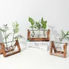 Hydroponic Vas Vintage Desktop Plant Terrarium Planter Bulb Glas Vas Vattenplantering Förökningsstationer Heminredning 210623