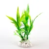 fausse herbe d'aquarium