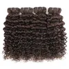 Bulli per capelli umani Kisshair Color #2 Water Wave Bundles 3/4 PC estensione marrone più scura da 10 a 24 pollici non remy riccio