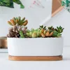 Oval White Ceramic Succulent Flowerpots Green Plant Pot With Bamboo Stand Small Bonsai Pots Planters &