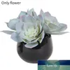 Decorative Flowers & Wreaths Cute Miniature Succulents Gift Ornament DIY Bedroom Desktop Home Decoration Artificial Plant Flower Potted Craf Factory price expert