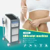 Minceur Machine HI-EMT sculpte la mise en forme du corps de la combustion des graisses électromagnétique EMS