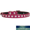 Col coloré Brillant Diamond strass Collier de compagnie Véritable Coffre-fort pour chat chien Soft Pet fournitures Accessoires LZ0594