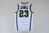 Vintage LeBron 23 JDMES Jerseys Men St. Wincent Mary High School Irish, Blue White Green Brown Red Blacked