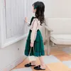 Весенняя осень девочек одевается новая корейская версия модная версия, мода принцесса, сетчатая прядь юбка в западном стиле, детские дети 039, одежда2671814