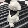 Lettera di abbigliamento per cani a colore solido casual motivano con bobine designer cartoncino per sciarpa personalità di seta cani decorazione3085