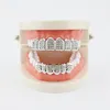 Rosso blu Diamond Glaze Grillz Denti Placcati in oro 18 carati Griglie dentali Hip Hop Bling Gioielli per il corpo per uomo Moda Argento oro Will e Sandy