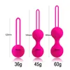 Jouets sexuels pour adultes, boule de Kegel en Silicone pour femme, simulateur vaginal chinois, masseur de contraction en métal Ben Wa, jouet sexuel pour adulte. 1012