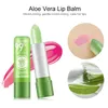 12pc / SET 3.5g Cambia colore Tinted Lip Balm Lipgloss Aloe Vera Rossetto Idratante Rossetti a lunga durata labbra all'ingrosso