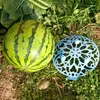 Watermeloen planten dienblad fruit antiseptische opslagtuin en meloen rotte plastic stabiele planters potten