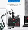 V8x Pro Audio Mixer BM800 Condenser Microphone Live Sound Card BT USB Game DSP Запись Профессиональный потоковый V9x телефон